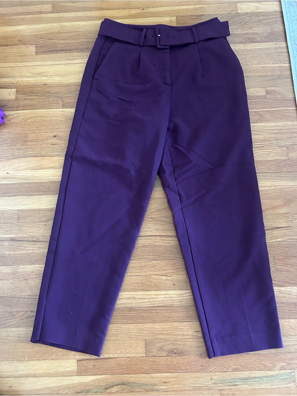 Ann Taylor Tailored Belted Trousers in Plum